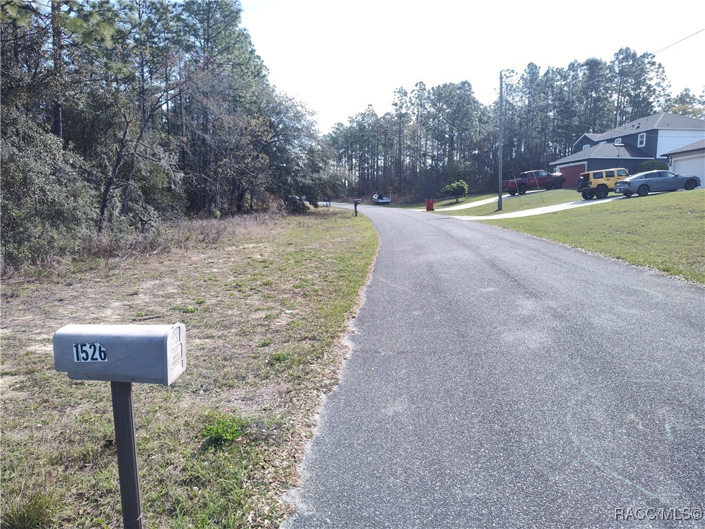 1519 W Omaha Place, Citrus Springs, Florida image 3