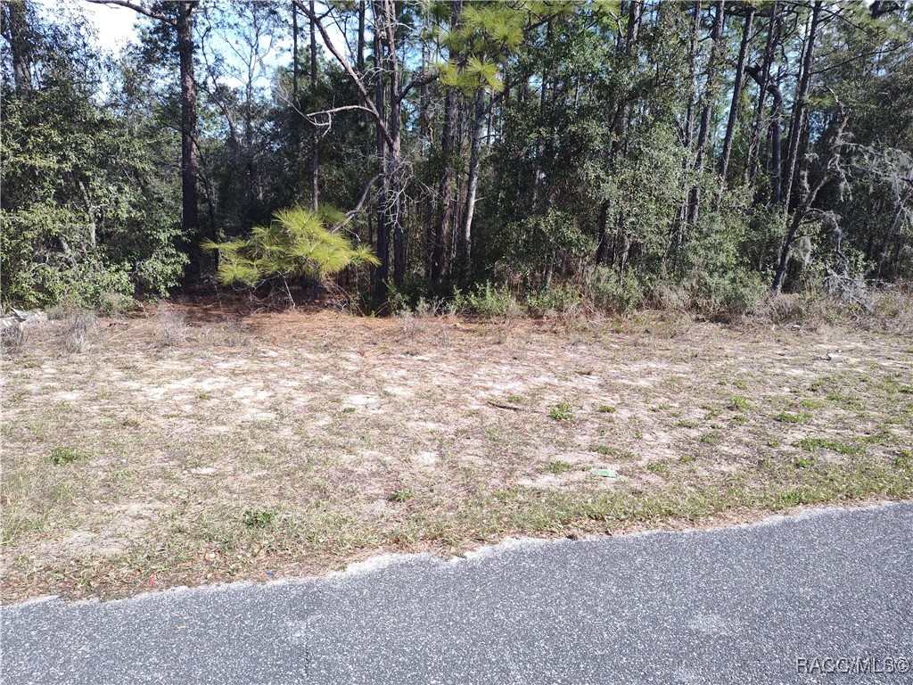 1519 W Omaha Place, Citrus Springs, Florida image 1