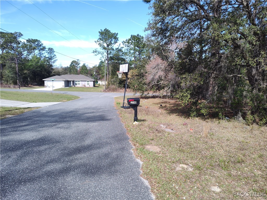 1519 W Omaha Place, Citrus Springs, Florida image 2