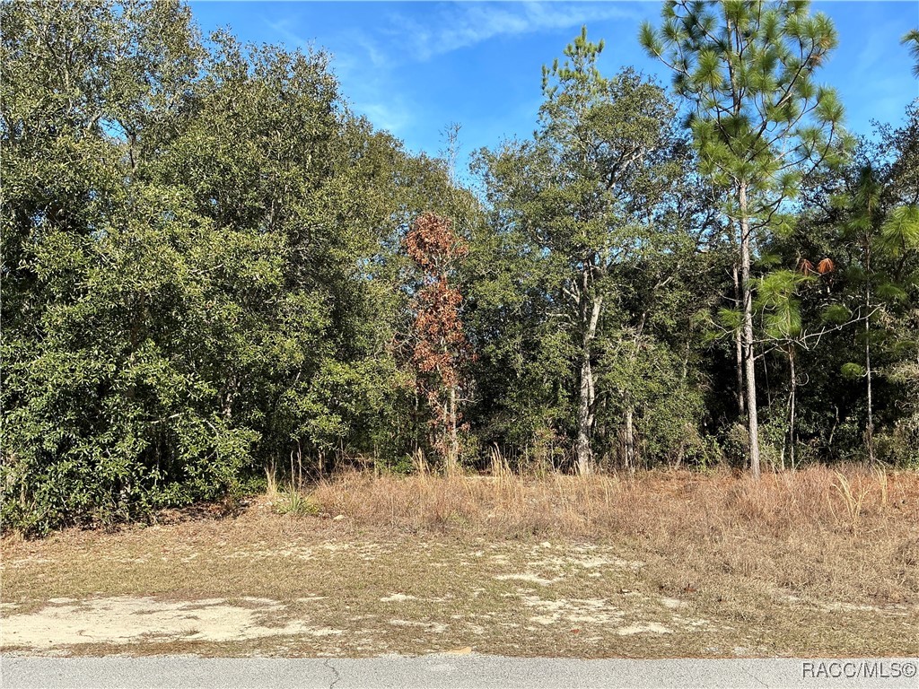 8593 N Muller Way, Citrus Springs, New York image 1