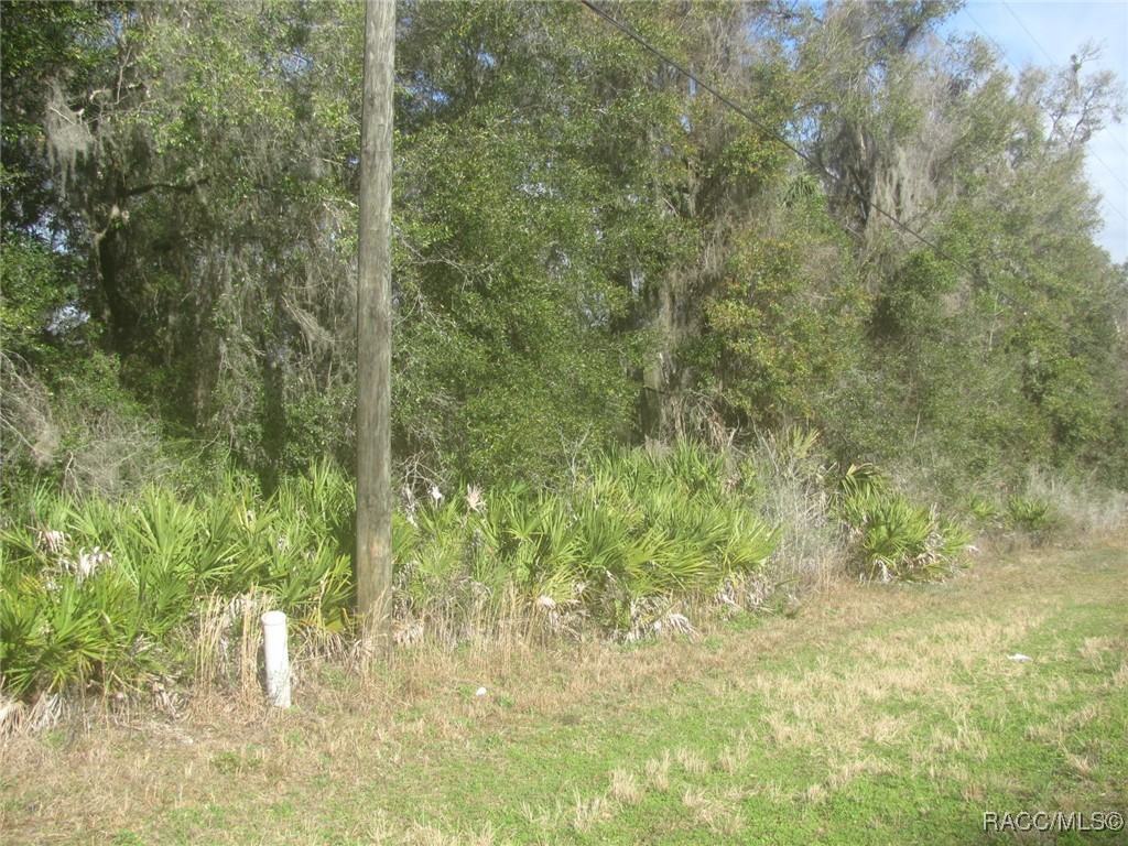 4278 N Citrus Avenue, Crystal River, Florida image 3