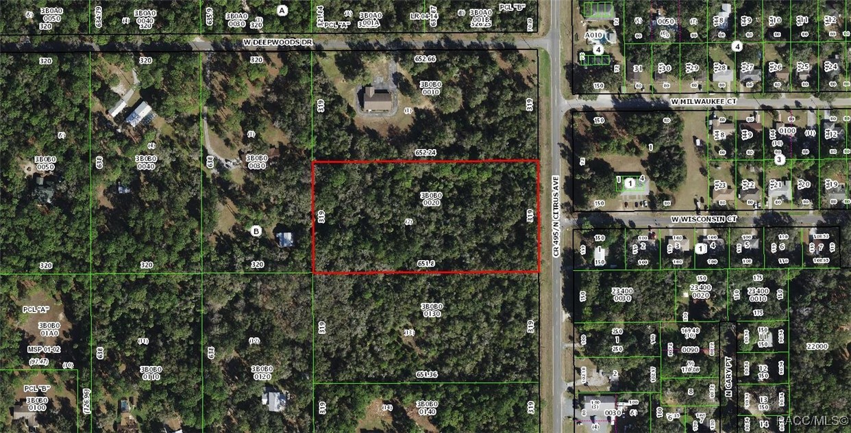 4278 N Citrus Avenue, Crystal River, Florida image 5