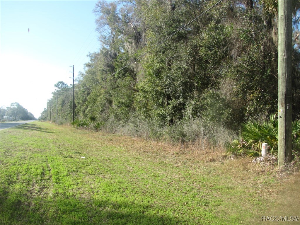 4278 N Citrus Avenue, Crystal River, Florida image 2