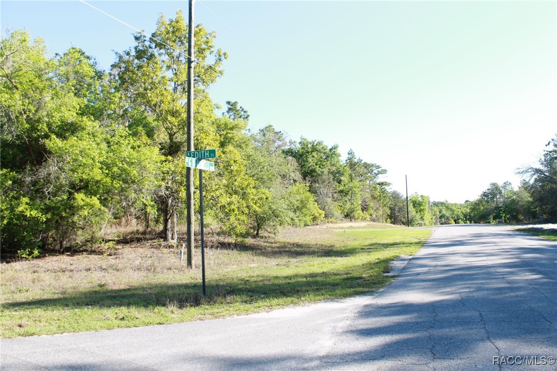 11074 N Edith Point, Citrus Springs, Florida image 3