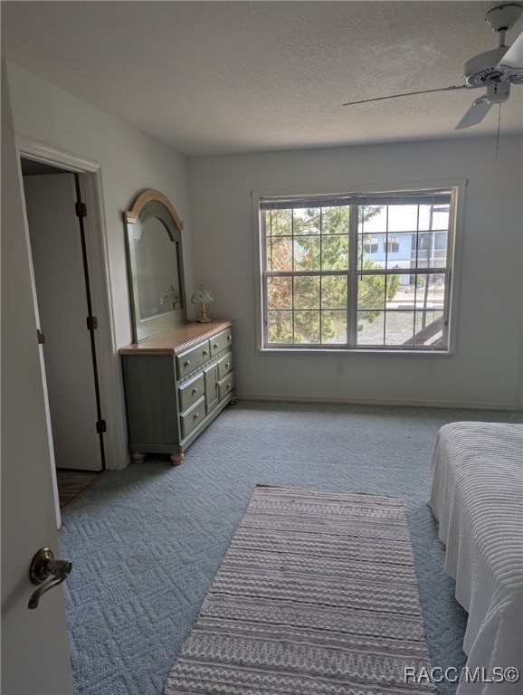 11798 W Coquina Court, Crystal River, Florida image 25