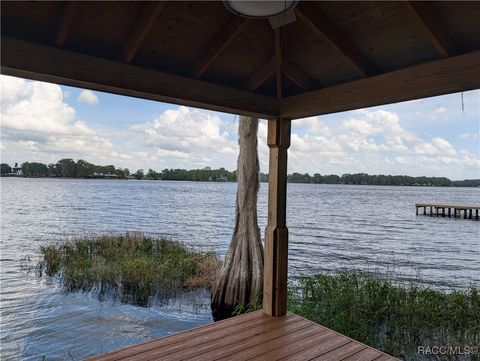 6905 S Aloysia Avenue Floral City FL 34436