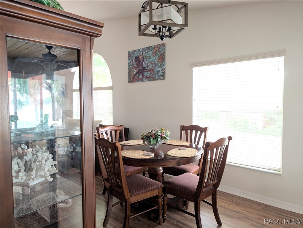 6905 S Aloysia Avenue, Floral City, Florida image 18
