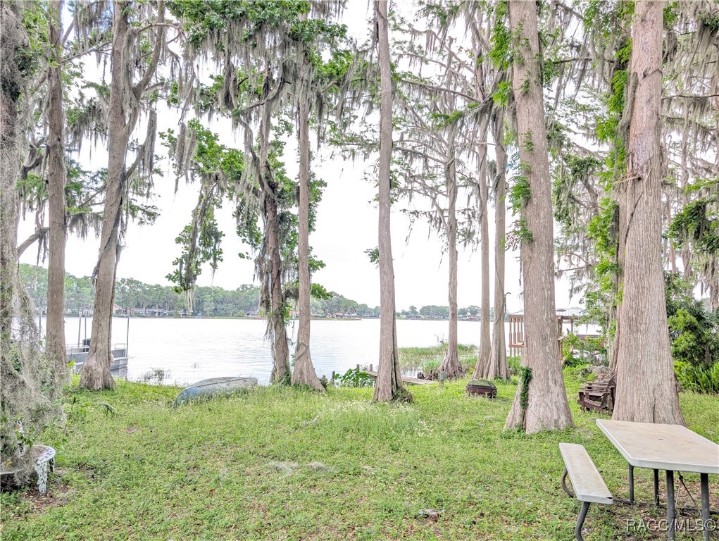 6905 S Aloysia Avenue, Floral City, Florida image 32
