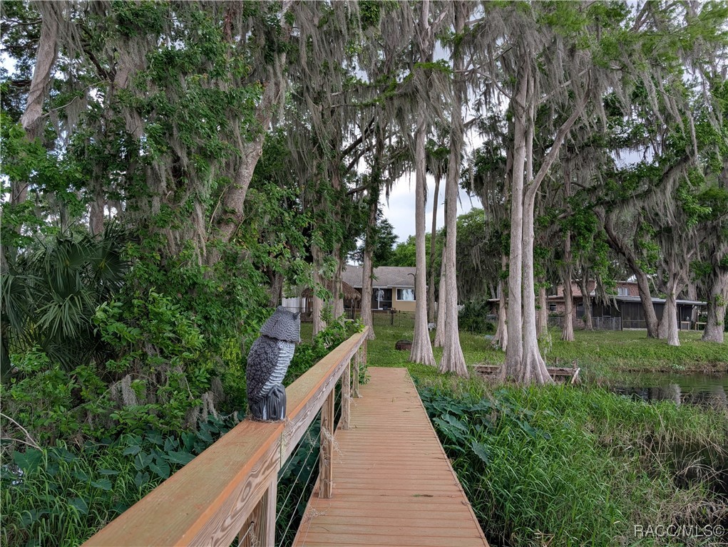 6905 S Aloysia Avenue, Floral City, Florida image 46