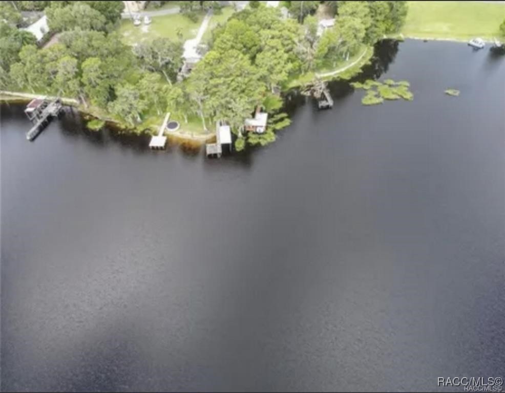 6905 S Aloysia Avenue, Floral City, Florida image 4