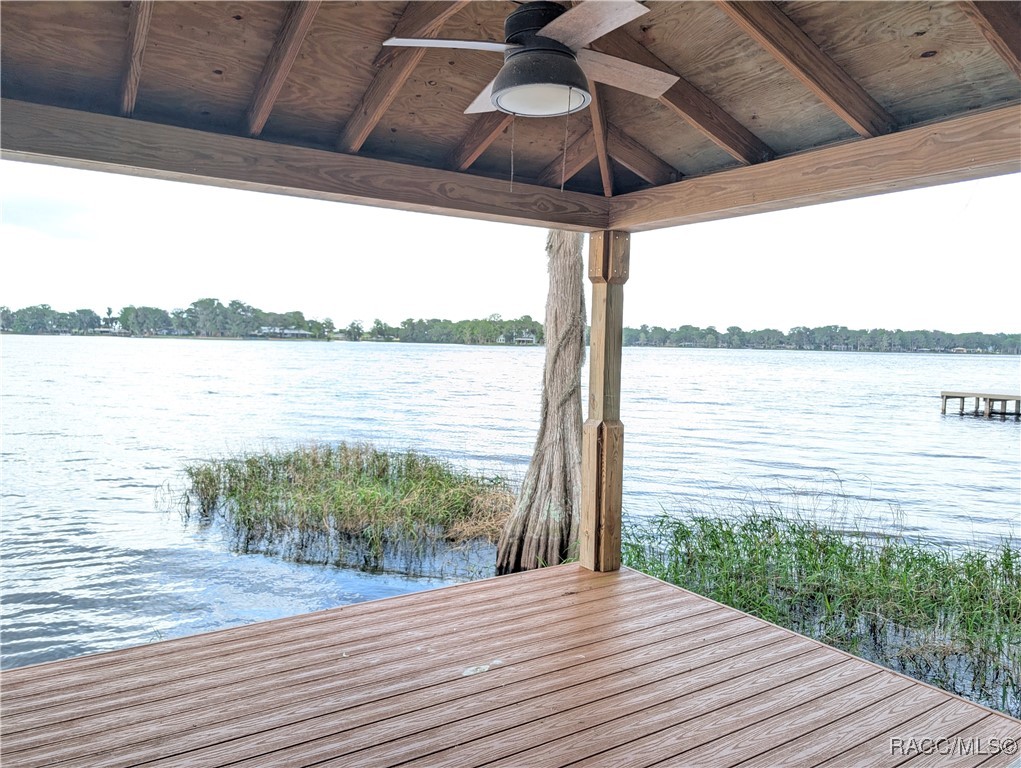 6905 S Aloysia Avenue, Floral City, Florida image 35
