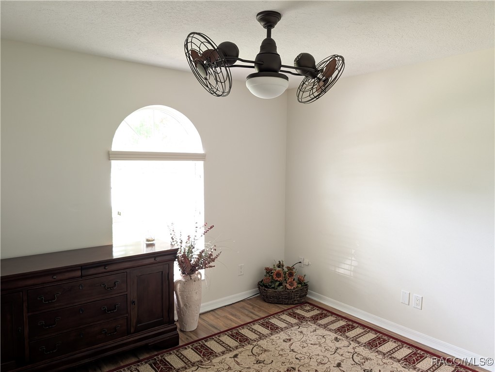6905 S Aloysia Avenue, Floral City, Florida image 11