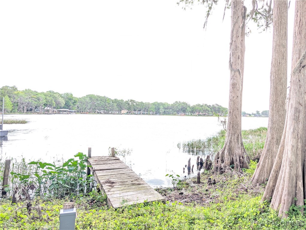 6905 S Aloysia Avenue, Floral City, Florida image 33