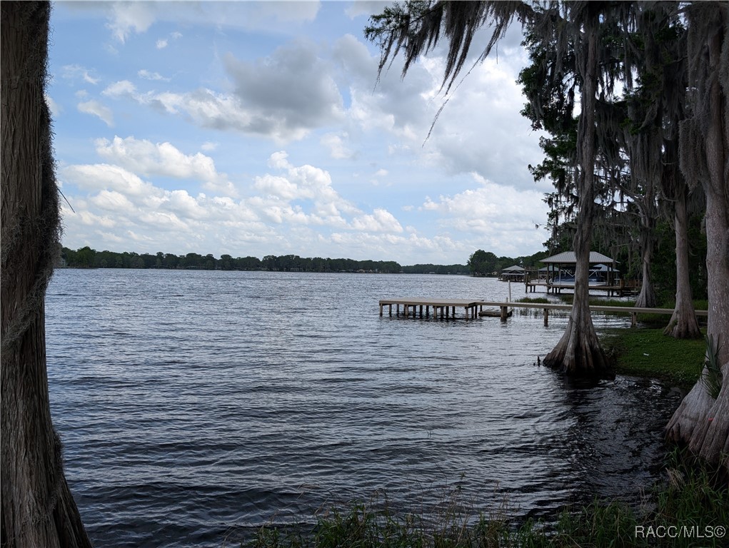 6905 S Aloysia Avenue, Floral City, Florida image 44