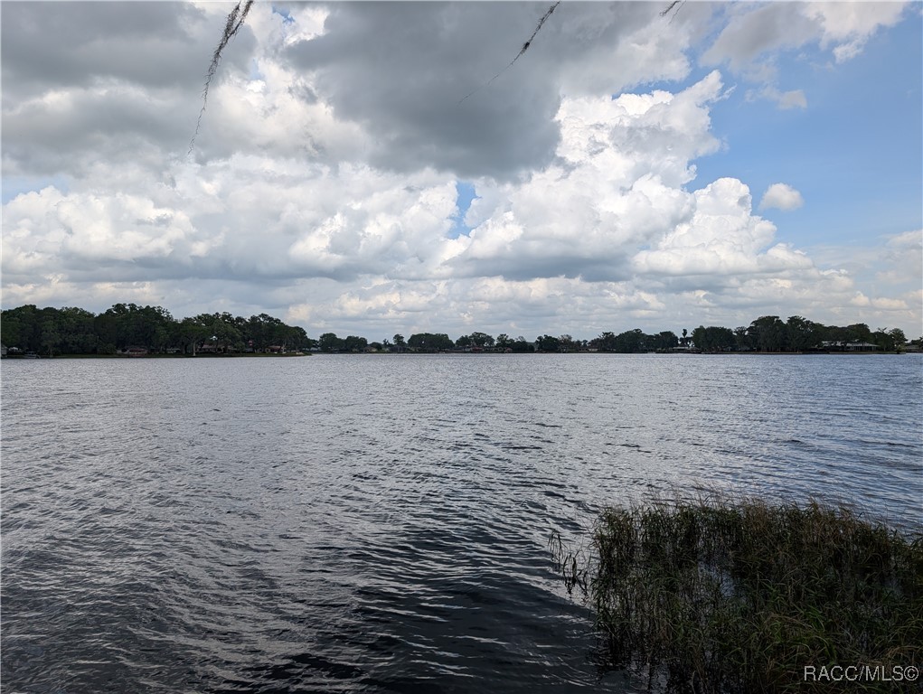 6905 S Aloysia Avenue, Floral City, Florida image 45