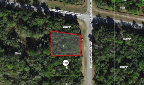 Homes For Sale - 2177 E Citrus Springs Boulevard<br/> Dunnellon, FL 34434