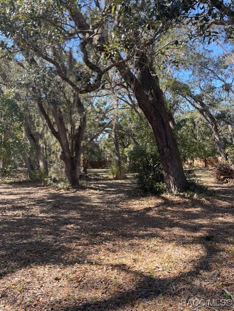 Gunn Highway, Odessa, Florida image 6