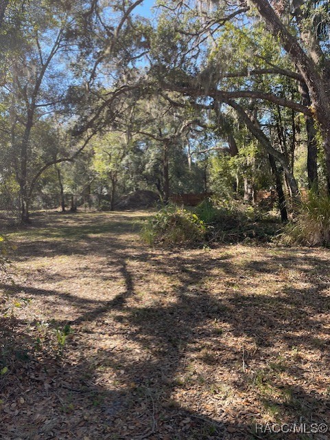 Gunn Highway, Odessa, Florida image 7