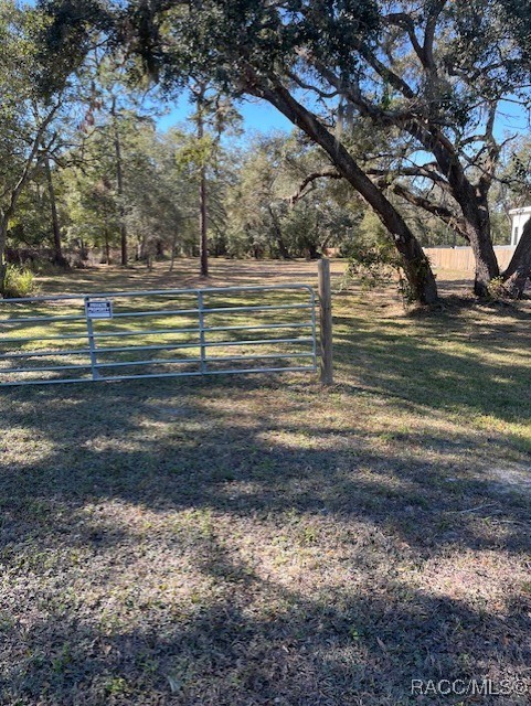 Gunn Highway, Odessa, Florida image 1