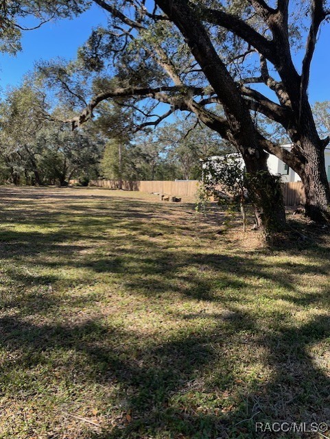 Gunn Highway, Odessa, Florida image 3