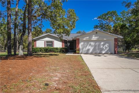 2771 W Beamwood Drive Beverly Hills FL 34465