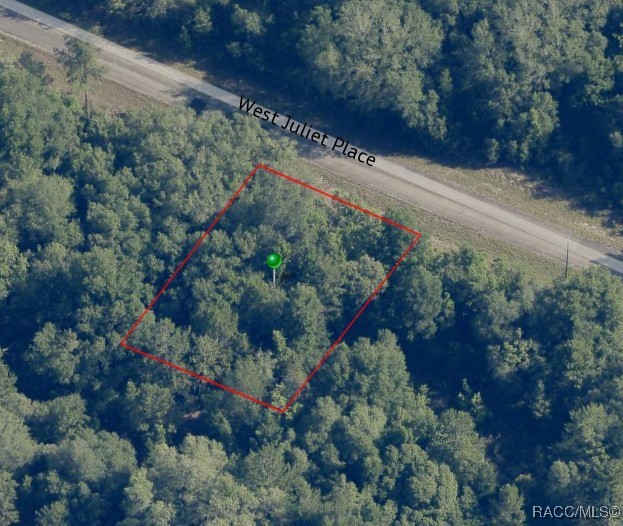 3102 W Juliet Place, Citrus Springs, New York image 4