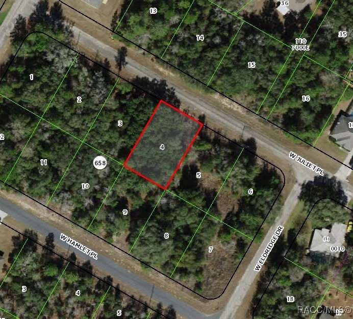 3102 W Juliet Place, Citrus Springs, New York image 1