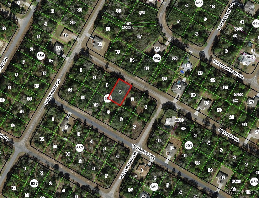3102 W Juliet Place, Citrus Springs, New York image 2
