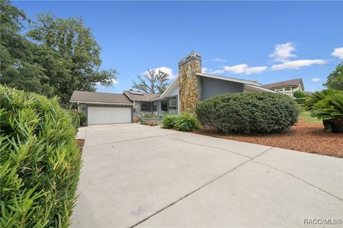 451 E Ireland Court Hernando FL 34442