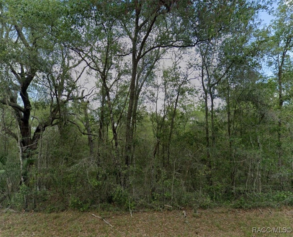 829 E Abend Drive, Dunnellon, Florida image 1