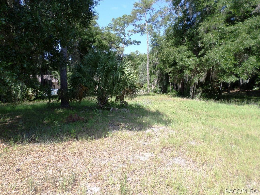 00 Blue Heron Court, Dunnellon, Florida image 1