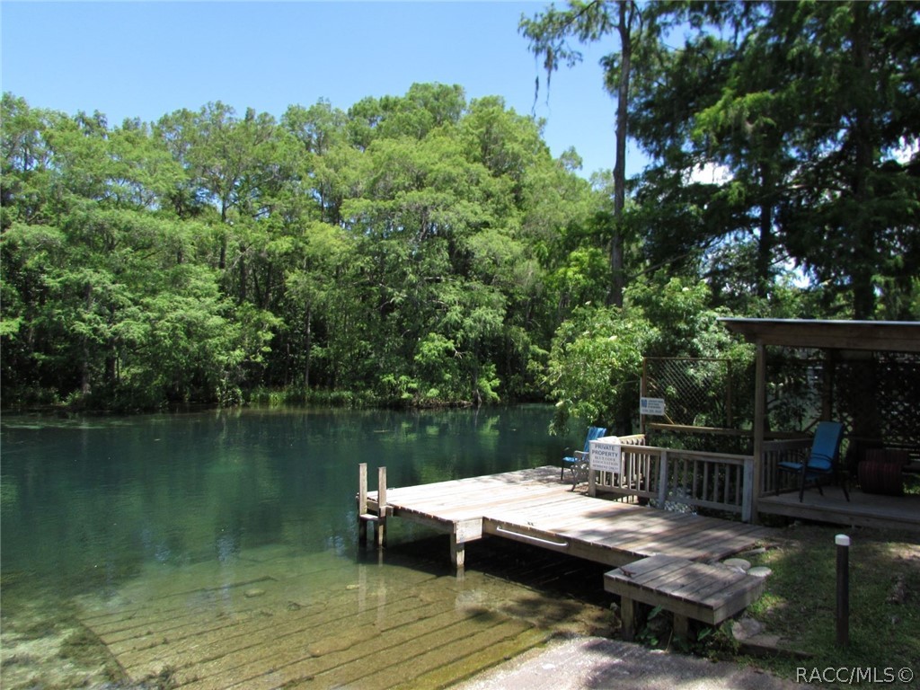 00 Blue Heron Court, Dunnellon, Florida image 10