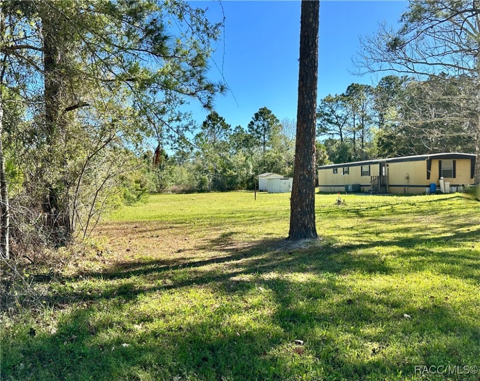 3491 S Enright Terrace, Homosassa, Florida image 7