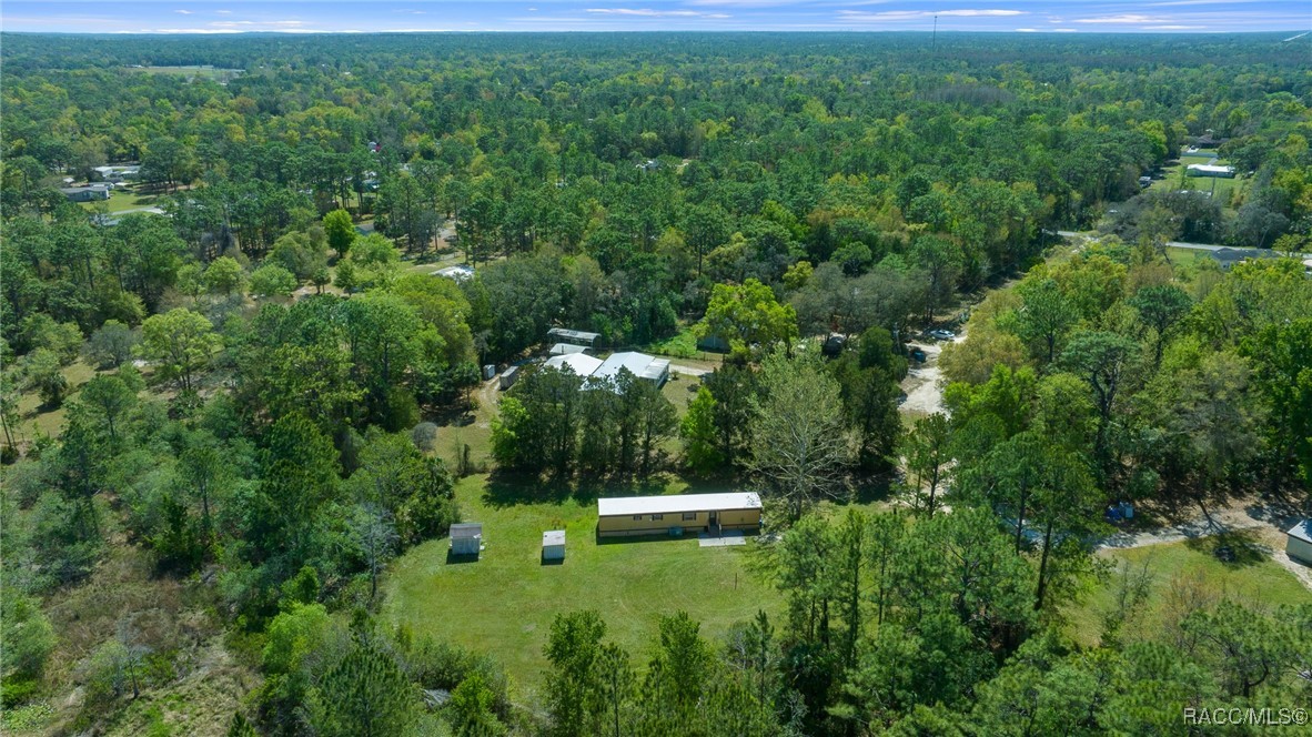 3491 S Enright Terrace, Homosassa, Florida image 19