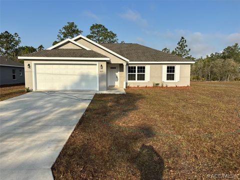 Homes For Sale - 6620 N Roland Drive<br/> Dunnellon, FL 34433