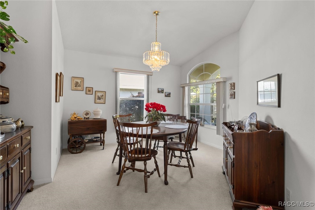 2323 N Andrea Point, Lecanto, Florida image 21