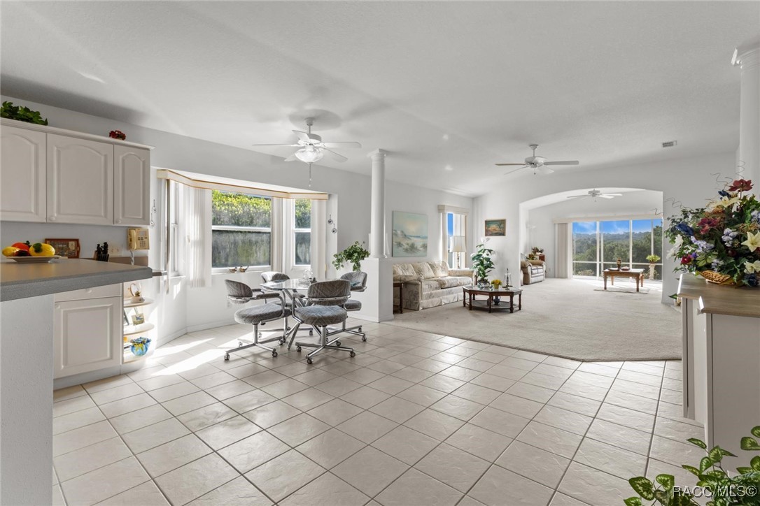 2323 N Andrea Point, Lecanto, Florida image 9