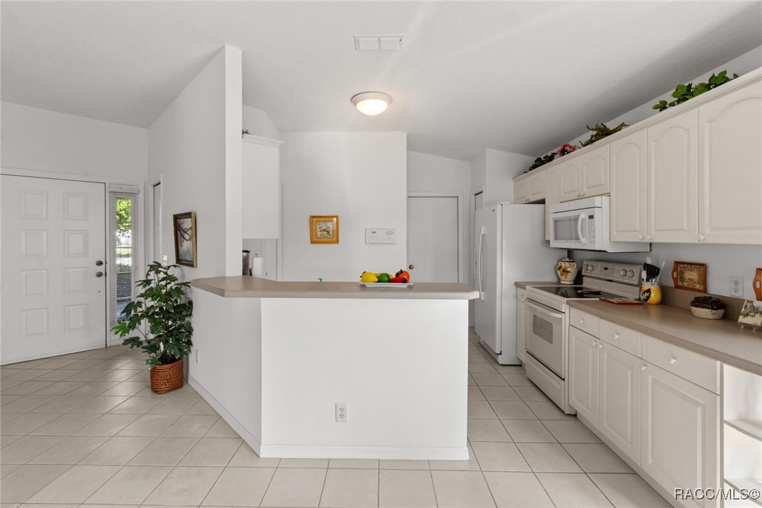 2323 N Andrea Point, Lecanto, Florida image 16