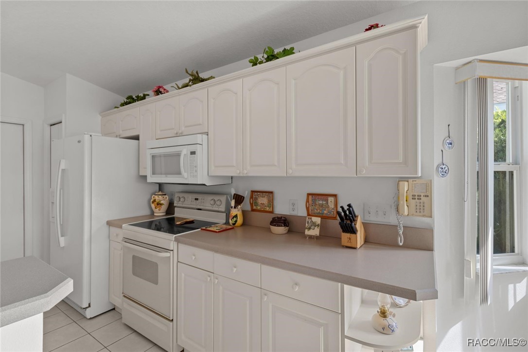2323 N Andrea Point, Lecanto, Florida image 18