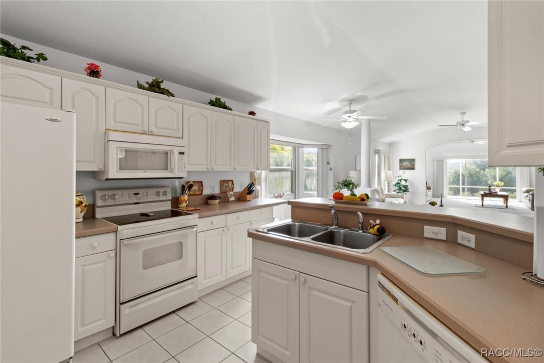 2323 N Andrea Point, Lecanto, Florida image 17