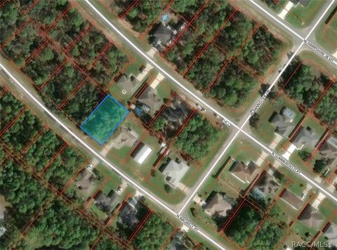 Vacant Land For Sale - 5659 N Bagwell Point<br/> Citrus Springs, FL 34434