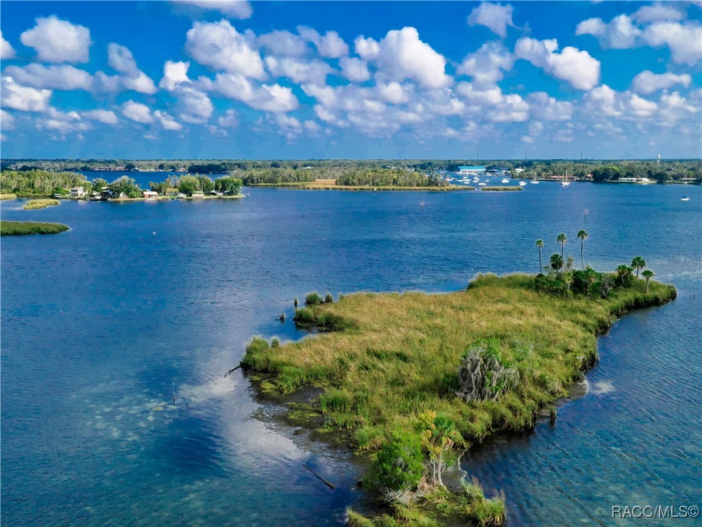 11334 W Bayshore Drive, Crystal River, Florida image 49