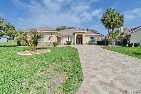 179 W Mickey Mantle Path Hernando FL 34442