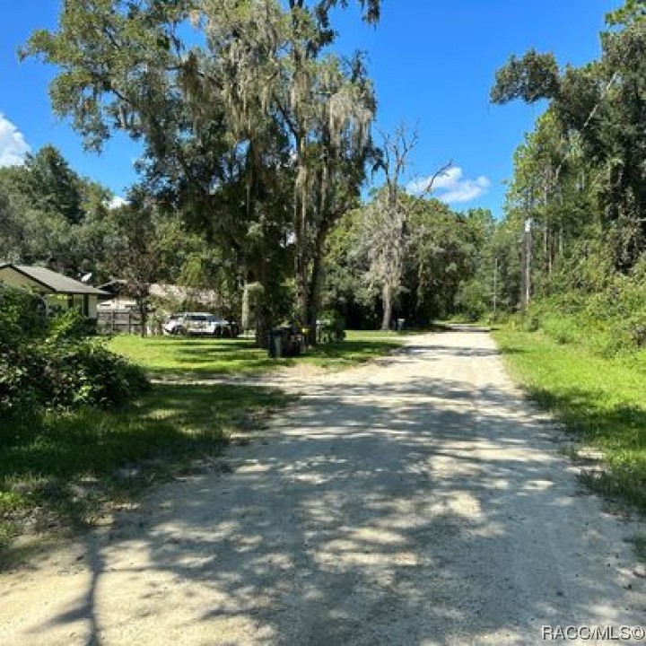 8843 N Parsnip Terrace, Crystal River, Florida image 7