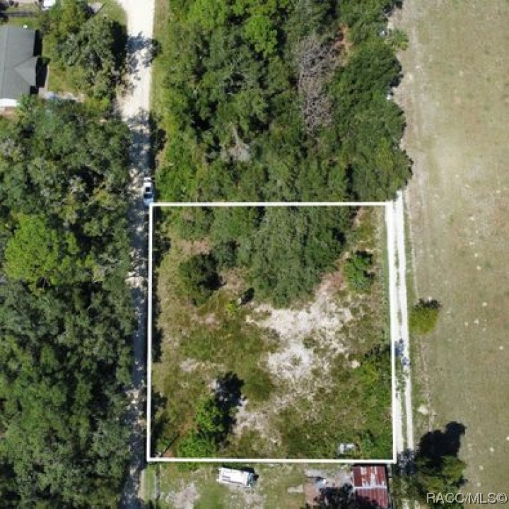 8843 N Parsnip Terrace, Crystal River, Florida image 4