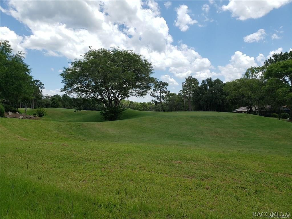 3541 N Pine Valley Loop