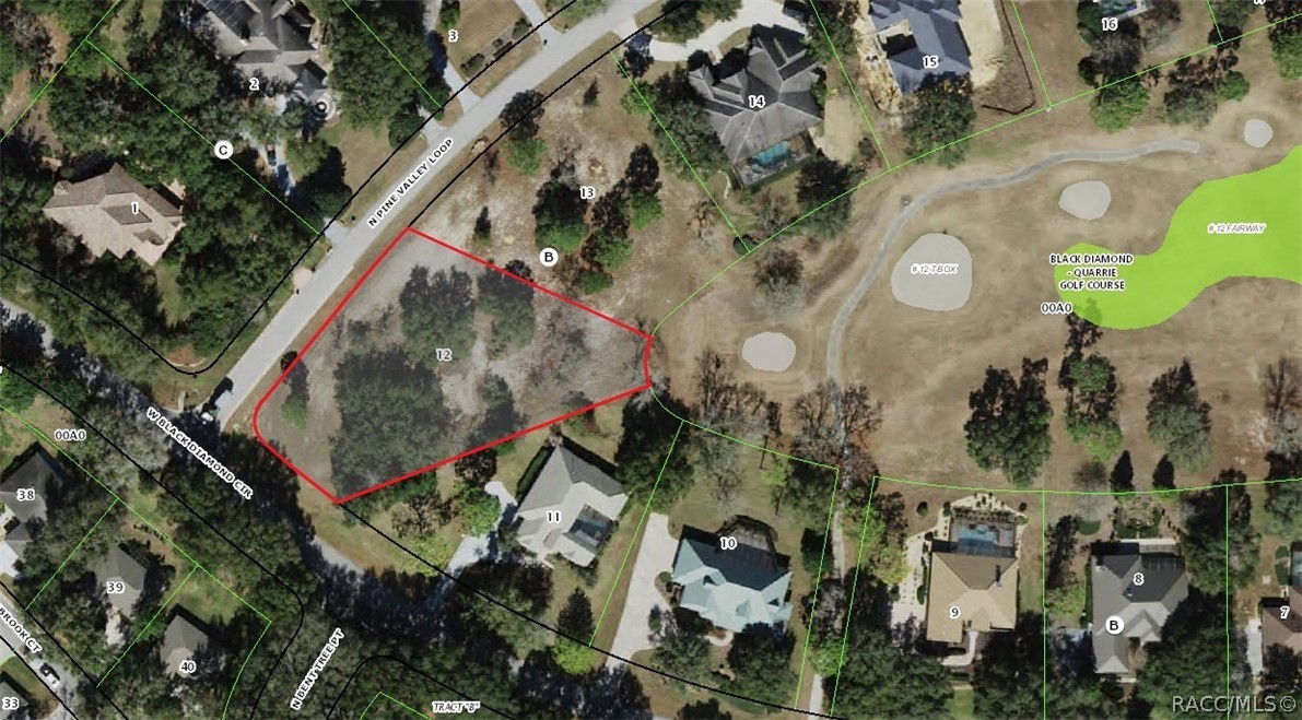 3541 N Pine Valley Loop