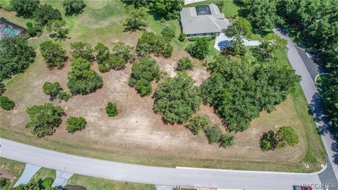 Vacant Land For Sale - 3541 N Pine Valley Loop<br/> Lecanto, FL 34461