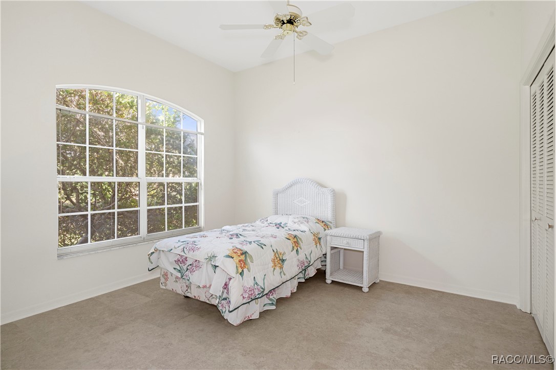 118 W Honey Palm Loop, Beverly Hills, New York image 38