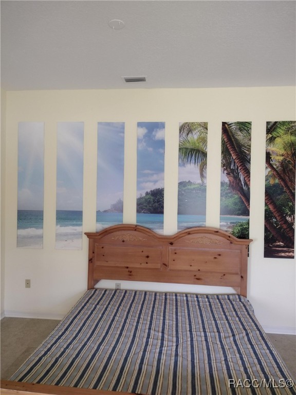118 W Honey Palm Loop, Beverly Hills, New York image 45